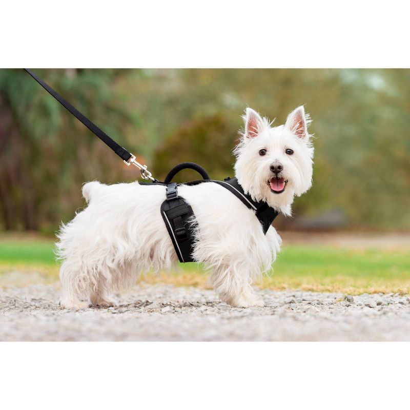 PetSafe EasySport Adjustable Dog Harness, 3 of 11