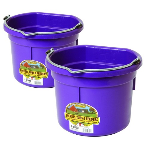 Little Giant P8FBPURPLE 2 Gallon All Purpose Heavy Duty Farm Flat Back  Plastic Buckets for Supplies, Toys, Laundry, and Water, Purple, (2 Pack)