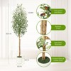 Garvee 5/6/7ft Artificial Olive Trees - Faux Silk Plants in White Planters with Wood Trunk & Moss, for Home/Office Decor, 1/2 PCS - 4 of 4