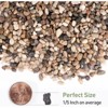 2.5lbs Rocks for Plants 1/5 Inch Natural Decorative Pebbles for Fish Tank, Aquarium - 3 of 4