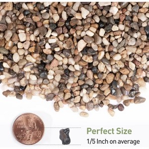 2.5lbs Rocks for Plants 1/5 Inch Natural Decorative Pebbles for Fish Tank, Aquarium - 1 of 4