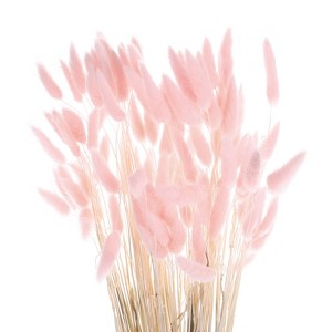 Unique Bargains Decorative Natural Dried Floral Bunny Tail Artificial Plants 120 Pcs - 1 of 4