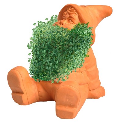 Chia Gnome