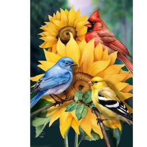 Briarwood Lane Summer House Flag 40x28 For Outdoor Birds in the Garden For Summer House Flag - 1 of 4