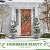 5 Ft Artificial Topiary Trees Set of 2, Uv Resistant Faux Cedar Porch Tree with Decorative Grass, Potted Fake Evergreen Cypress Plants - 3 of 4
