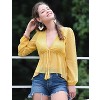 Allegra K Women's Deep V Neck Chiffon Swiss Dots Ruffle Hem Long Sleeve Peplum Shirt - 2 of 4