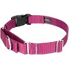 Country Brook Petz Heavy Duty Nylon Martingale Dog Collar with Deluxe Buckle - 30+ Vibrant Color Options - 4 of 4