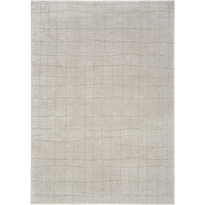 Nourison Santa Cruz Modern Textured Indoor Rug