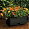 Novelty EarthBox Beginner Friendly, Self-Watering Growing System Garden Kit - 3 of 4