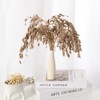 Unique Bargains Dried Grass Chasmanthium Oat Home Decor Flower Bouquet 1 Pc - 2 of 4