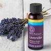 Di'Aroma Lavender Fragrance Oil 2 fl oz, Premium Lavender Scented Aromatherapy Oil for Diffuser, Burner, Potpourri, Long Lasting Scent - 4 of 4