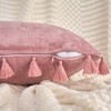 REGALWOVEN Velvet Soft Solid Covers Bohemian with Tassels Decorative Throw Pillow 2 Pcs - 3 of 4