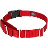 Country Brook Petz Heavy Duty Nylon Martingale Dog Collar with Deluxe Buckle - 30+ Vibrant Color Options - 4 of 4