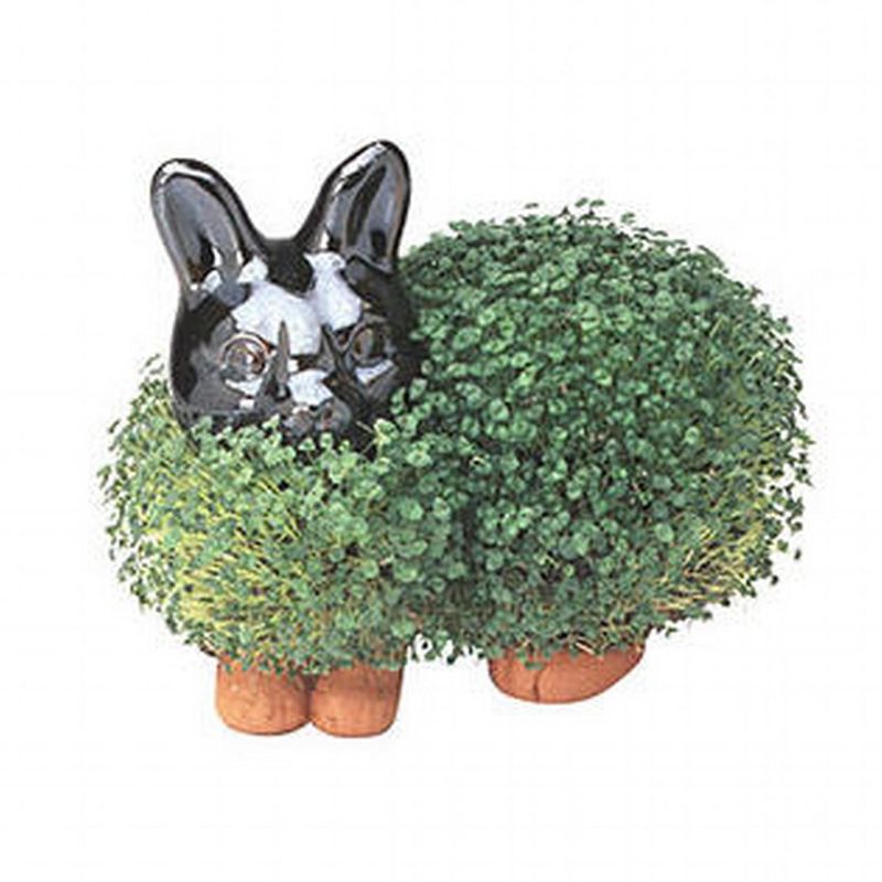 Joseph Enterprises, Inc Chia Pet Grass Planter: Bunny, 2 of 3