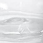 white lid