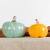 Transpac Glass 4.75 in. Multicolor Harvest Chalky Matte Pumpkin Set of 2 - 3 of 4