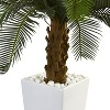 HomeStock  3 ft. Artificial Cycas Tree in Planter for Indoor/Outdoor - 2 of 4