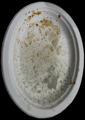 Guest review image 4 of 4, zoom in
