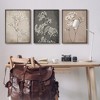 Stupell Industries Botanical Baby's Breath Herbs 3pc Framed Giclee Art Set, Black, 24" x 30" - 2 of 4