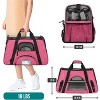 PetAmi Airline Approved Pet Carrier for Cat Dog, Soft Sided Travel Supplies Accessories, Ventilated Carrying Bag Kitten Puppy - 2 of 4