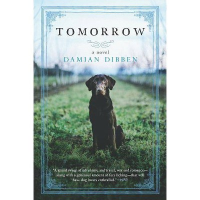 Tomorrow - by  Damian Dibben (Paperback)