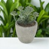 Unique Bargains Artificial Plants Family in Mini Pulp Plastic Green 3.35"x3.35"x3.94" 1 Pc - 2 of 4