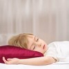 PiccoCasa 19 Momme Zipper Closure Smooth Soft Breathable Silk Pillowcases - 3 of 4