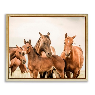 Stupell Industries Horse & Foals Photography, 21" x 17"
