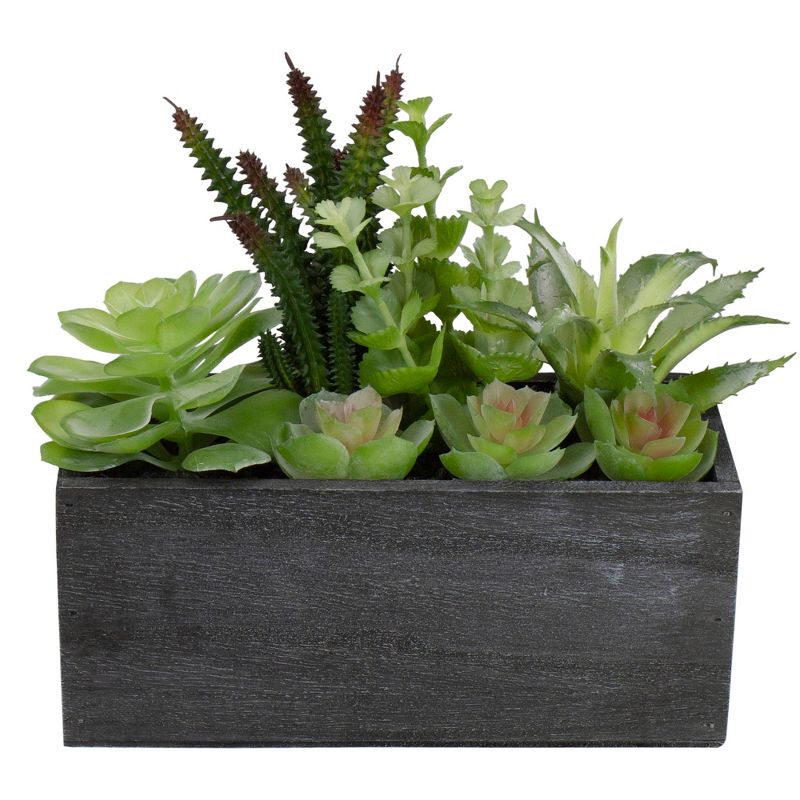 Northlight 10" Artificial Mixed Succulent Plants in a Rectangular Planter, 4 of 6