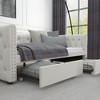 NicBex Twin Size Daybed with Storage Upholstered Velvet Fabric Day Bed with 2 Spacious Drawers and Tufted Button for Apartment - 4 of 4