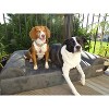 Big Barker 7" Orthopedic Dog Bed - Sofa Edition - 2 of 4