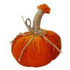 Whisen 4x4x5.5"Pumpkin Ornament, Set of 6 for Holiday Harvest Festival Fall Festival & Thanksgiving - 2 of 4