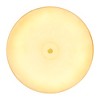 CWI Lighting Saleen LED Mini Pendant With Sun Gold & Black Finish - 4 of 4