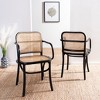 Keiko Cane Dining Chair  - Safavieh - image 2 of 4