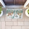 Stupell Industries Whimsy Holiday Reindeer Printed Outdoor Door Mat, design by Paul Brent, 18"x30" - 3 of 4