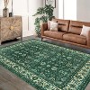 Acekool Machine Washable Area Rug, Non Slip Vintage Floral Carpet for Living Room, Bedroom - 3 of 4