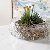 Cyan Design - Clearly Thorough - Bowl-7 Inches Tall And 15.75 Inches Wide - 3 of 4
