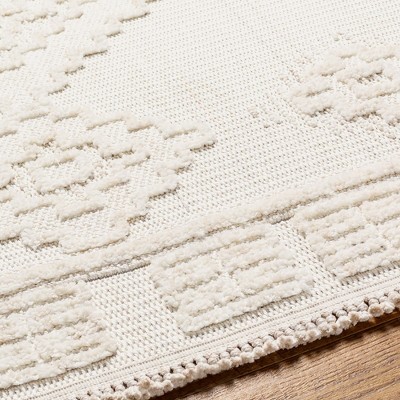 Lohrville Cream High Pile Braided Synthetic Rectangular Area Rug