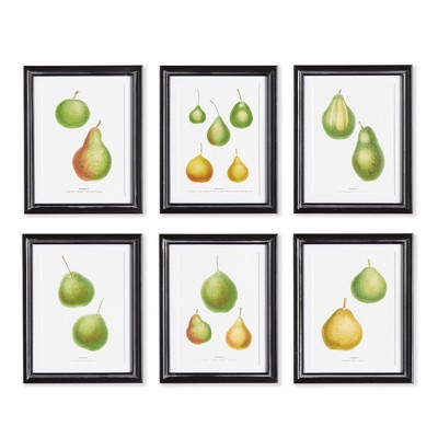 Plum & Post Pear Study, Set Of 6