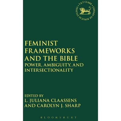 Feminist Frameworks And The Bible - (library Of Hebrew Bible/old ...