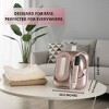SALAV Deluxe Duopress Steam Station - 2 of 4