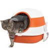 Whisen Foldable Cat Litter Box with Private Safe Space, & Grate, Easy Access for Cats Up to 10lbs - 2 of 4