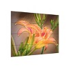Trademark Fine Art Leslie Montgomery A Gift From The Orient Wood Slat Art - 2 of 4