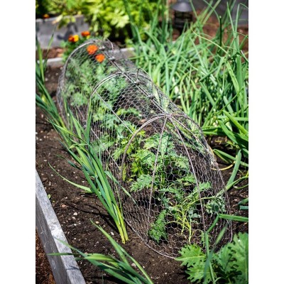 Gardener’s Supply Company Chicken Wire Cloche Garden Plot Plants Cover Protector | Sturdy Arch Metal Tunnel Cage Flowerbeds and Seedlings Garden