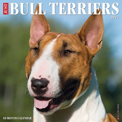 2022 Wall Calendar Just Bull Terriers - Willow Creek Press