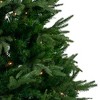 Northlight 7.5' Pre-Lit Silverthorne Fir Artificial Christmas Tree - Clear Lights - 4 of 4