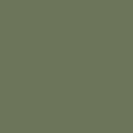 safari green