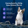 Blue Buffalo Wilderness High Protein Grain Free Natural Kitten Pate Wet Cat Food with Chicken Recipe - 3oz - 4 of 4