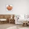Stupell Industries Orange Fall Botanical Pumpkin Framed Giclee Art - 2 of 4