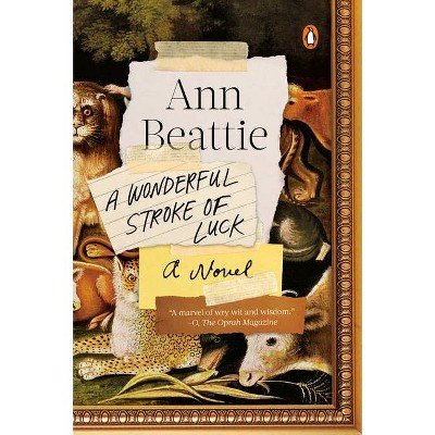 A Wonderful Stroke of Luck - by  Ann Beattie (Paperback)